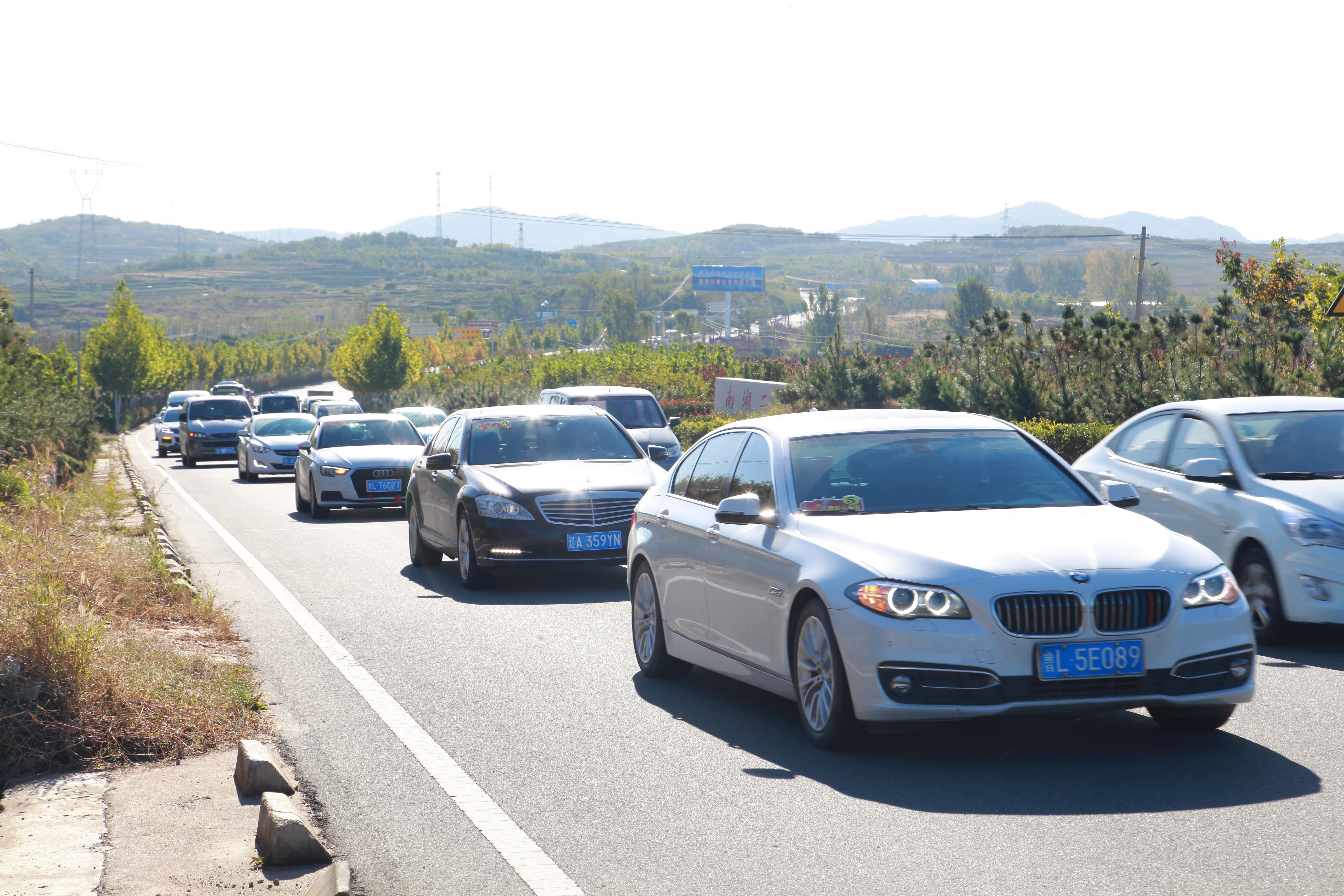 第177所 日照市东港区陈疃镇东辰米兰在线网站刘丽新小学