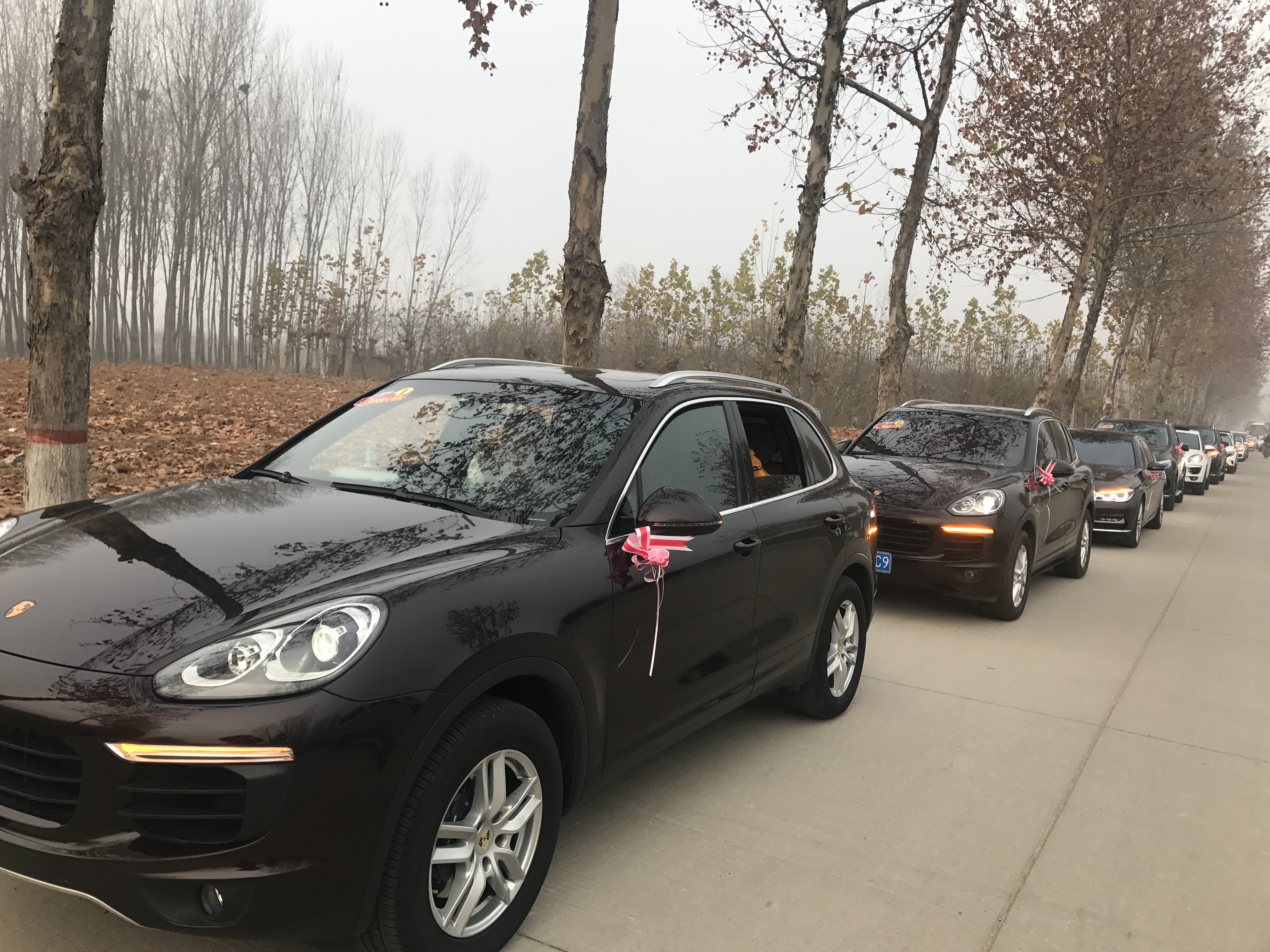 第183所 泰安市岱岳区良庄镇米兰在线网站李娜小学