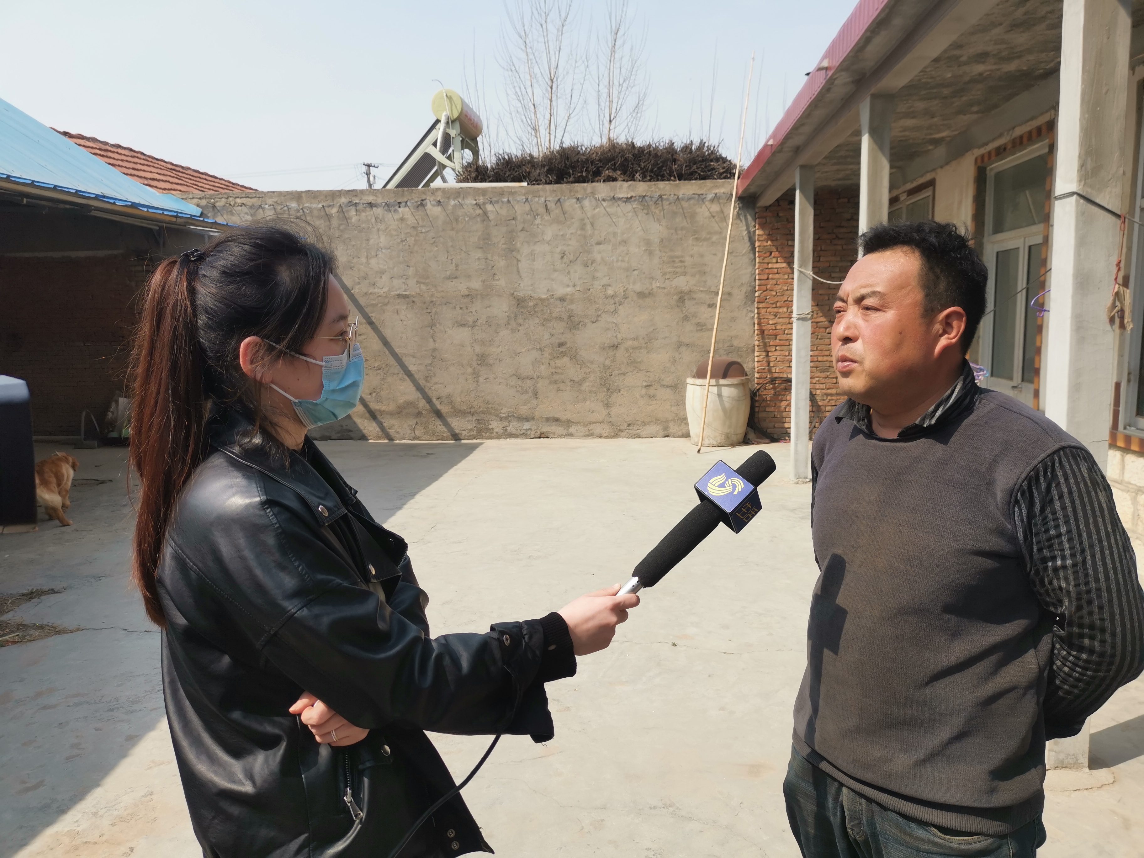 第209所 平度市崔家集镇状元府米兰在线网站刘丽新小学 第209所 平度市崔家集镇状元府米兰在线网站刘丽新小学