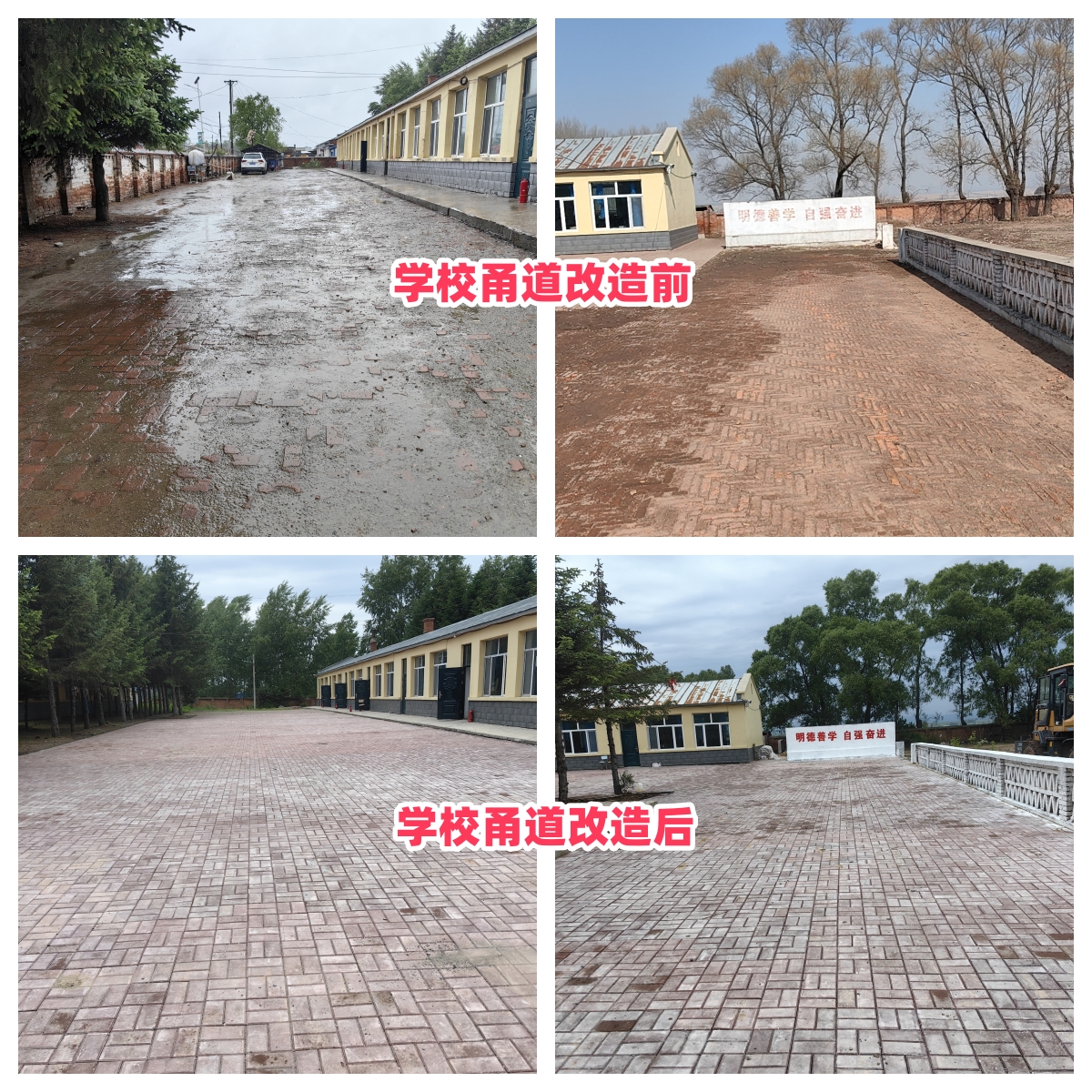 第254所 黑龙江巴彦县黑山镇民乐村米兰在线网站侯玉霞学校