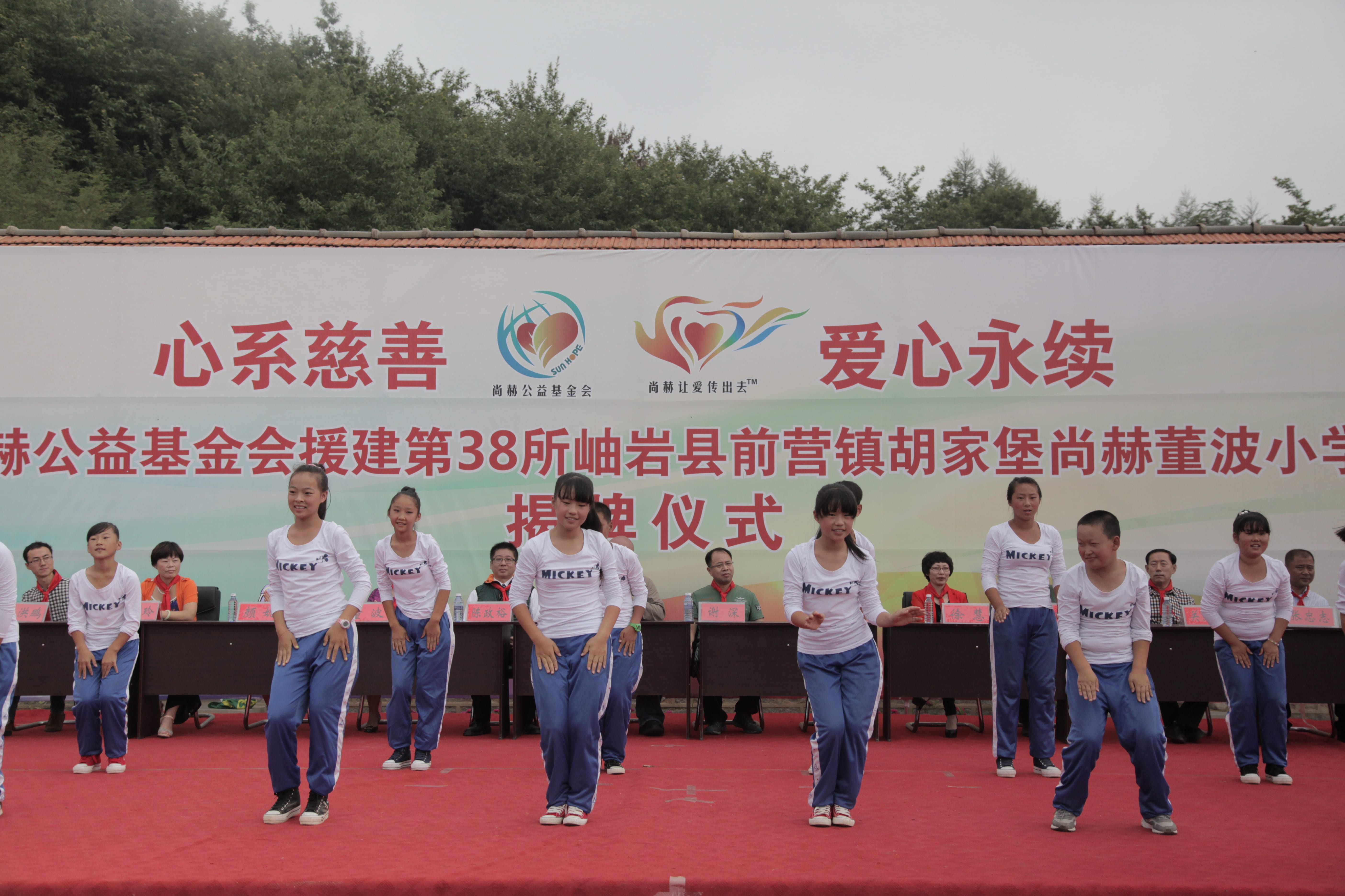 第38所 岫岩县前营镇胡家堡米兰在线网站董波小学