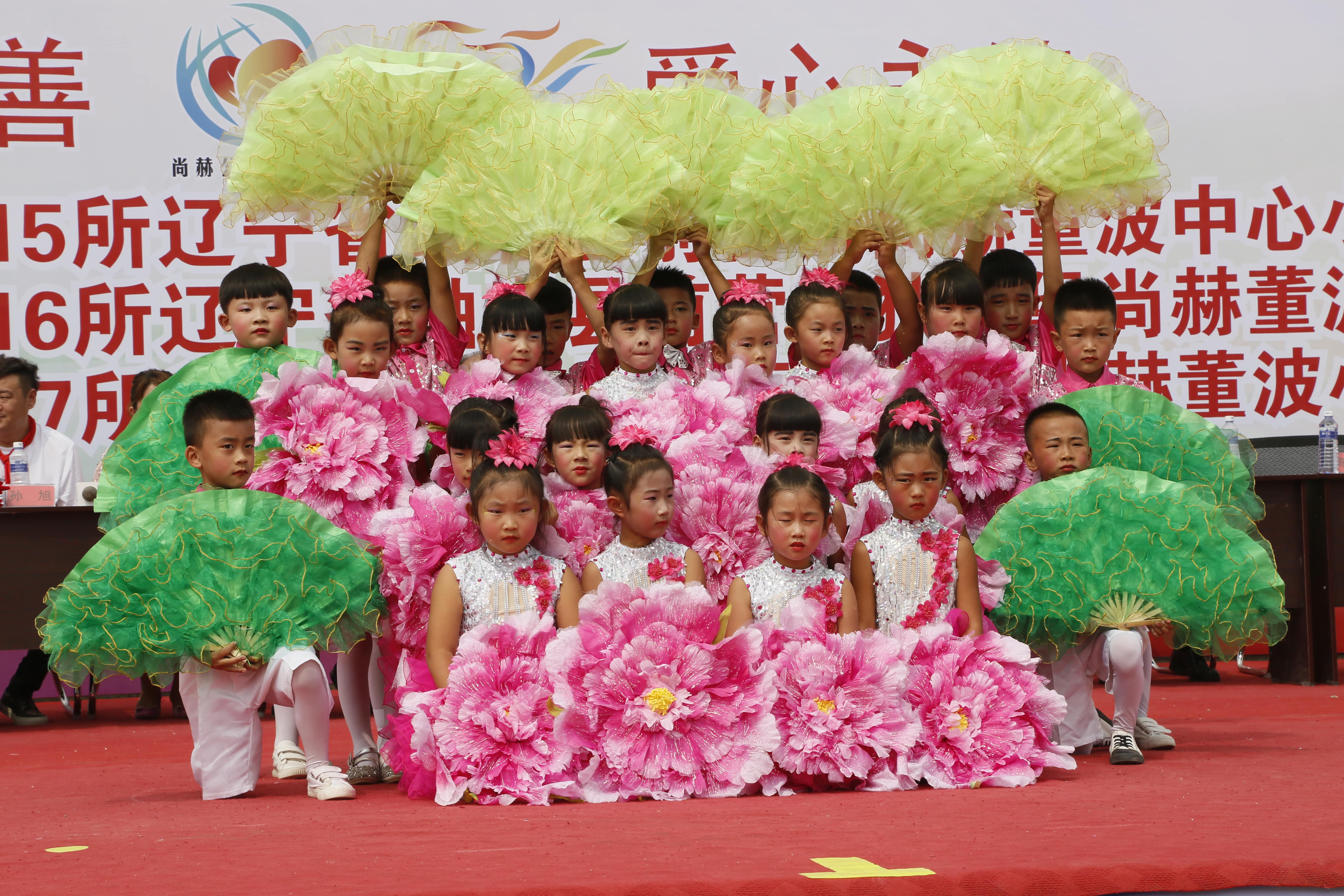 第115所 岫岩县前营镇米兰在线网站董波中心小学