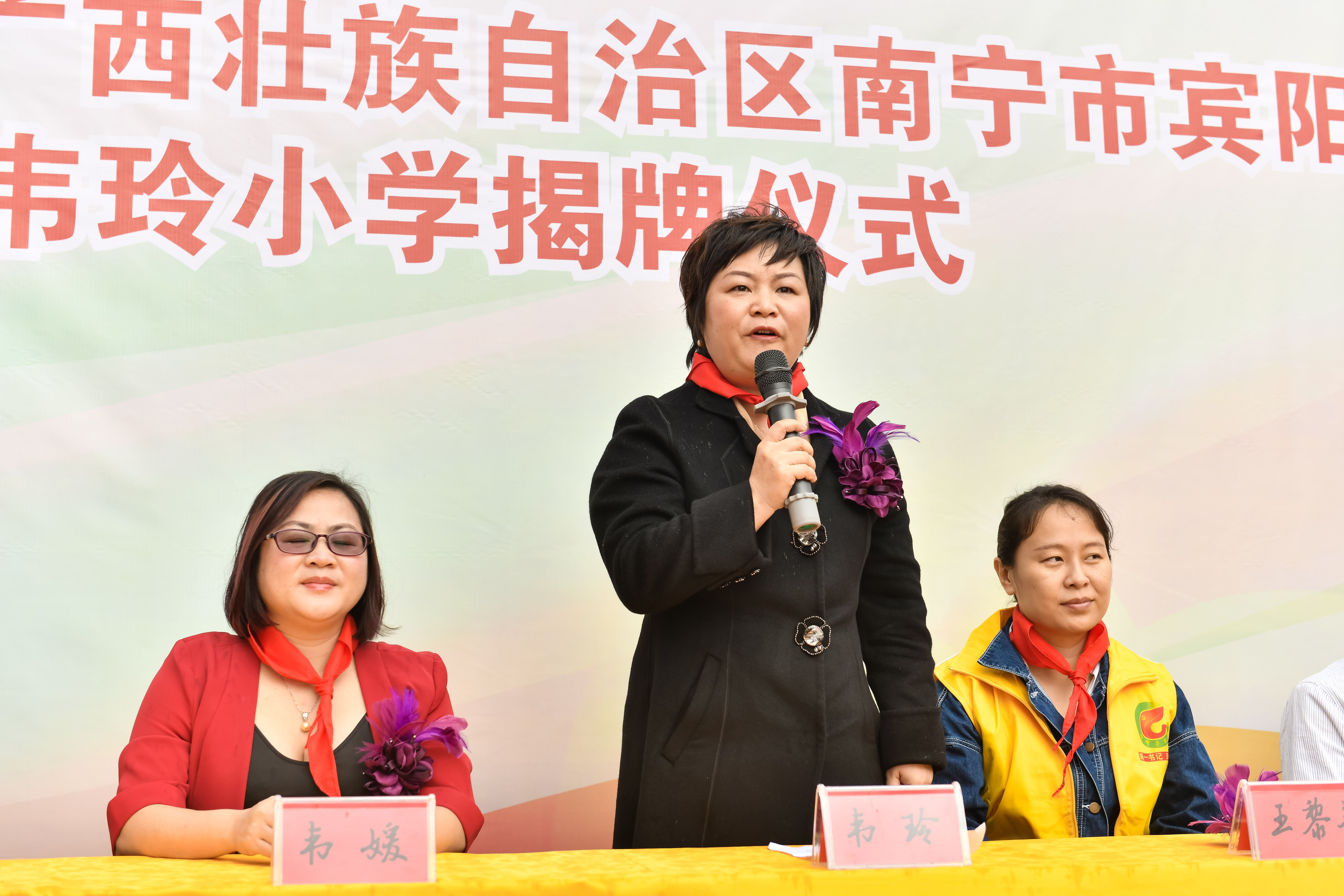 第184所  南宁市宾阳县思陇镇昆仑村米兰在线网站韦玲小学